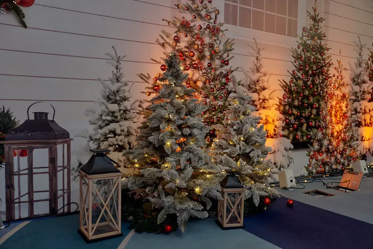 Radisson Resort Zavidovo holiday entertainment moment 21
